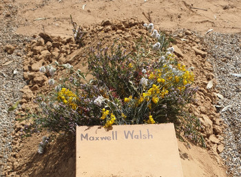 Maxwell James WALSH - Winton Cemetery